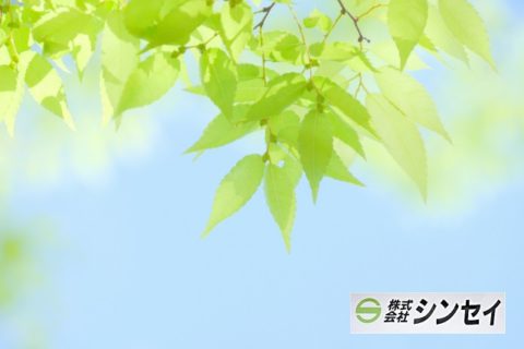 株式会社　シンセイ